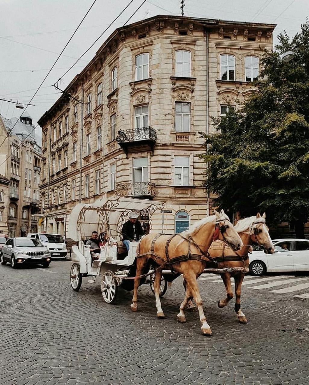 Staroevreyskaapart Lviv Exterior photo
